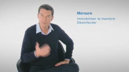 Les gestes qui rassurent - Morsure d'animal domestique