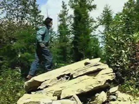 Daniel Danis - Aviateur - Création