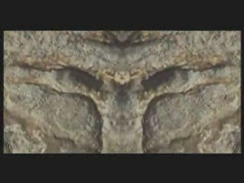 Daniel Danis - Coquillage - Création