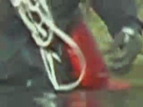 Daniel Danis - Marais - Création