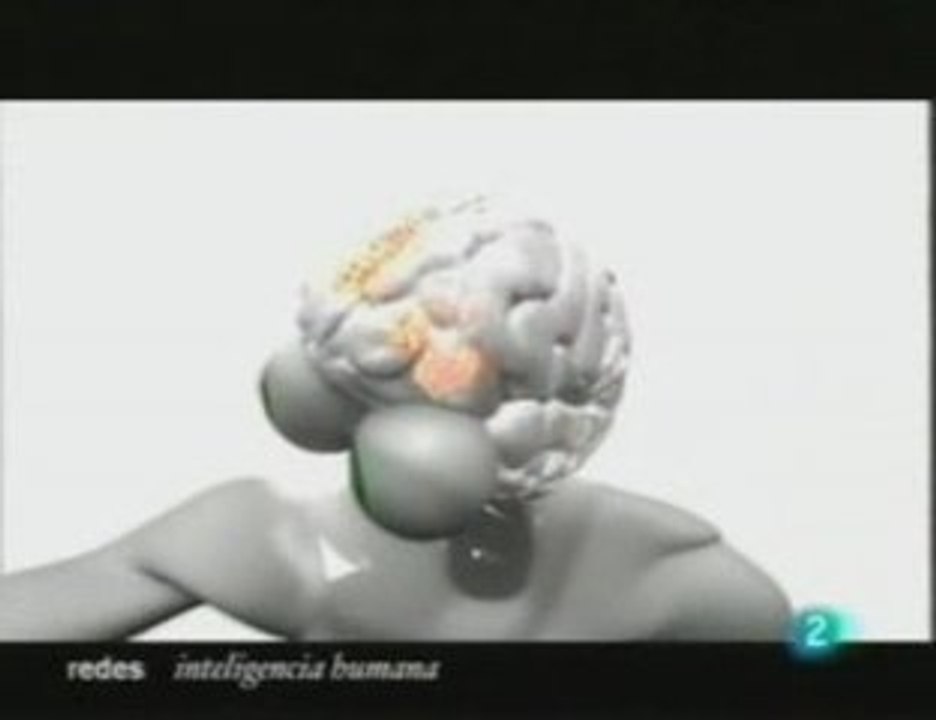 Inteligencia y cerebro: Diferencias de genero