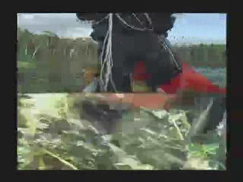 Daniel Danis - Parachute - Création