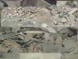 Daniel Danis - Pierres - Création