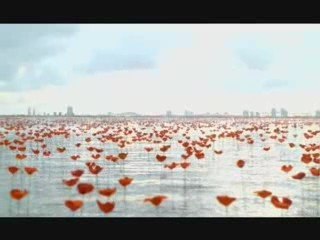 Pub Flower By Kenzo 60sec