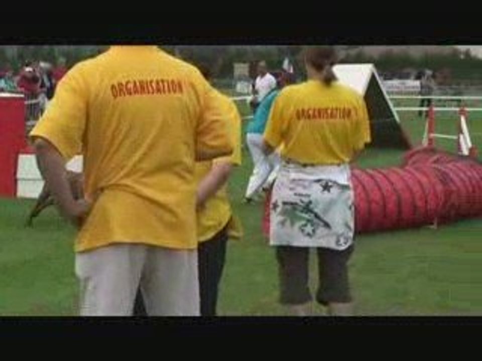 séléctif par equipe des turbo diesel