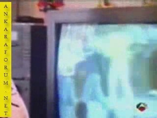 Cesur Köpek Sahibinin Hayatını Kurtardı