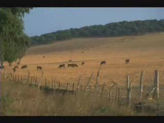 Love on the rocks/cover