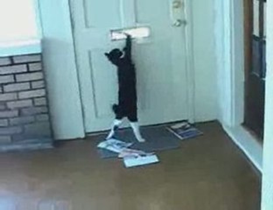 Heureusement que les mails existent !