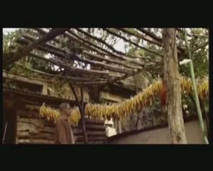 Selda Balcan - Anne Ben Geldim