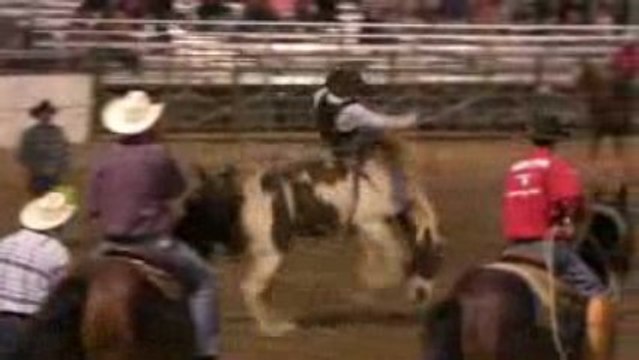 Rodéo à Jackson Hole - cheval sauvage avec selle