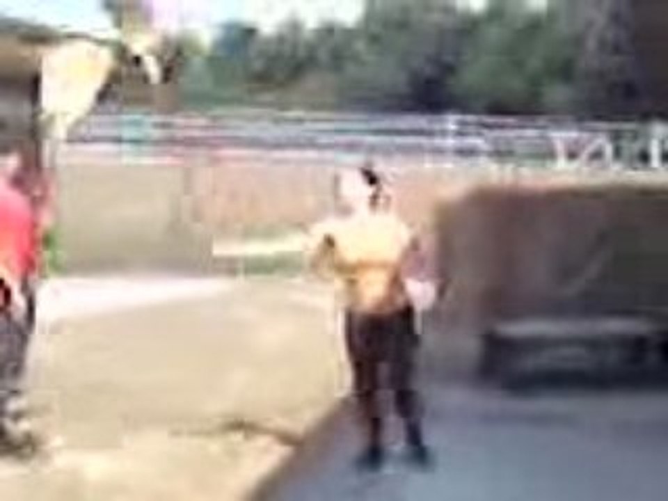 Vidéo0064