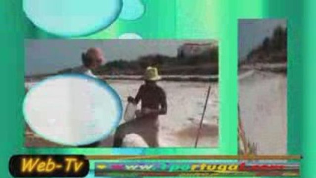 Recolha do sal - Tavira Algarve Agosto 2009