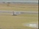Crash Violent  Mirage 2000-9 s'écrase au décollage à Istres