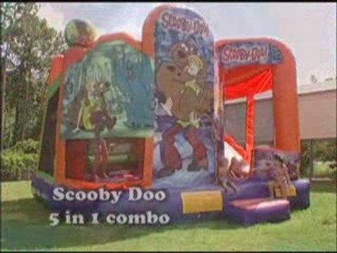 Tampa Florida Party Rentals