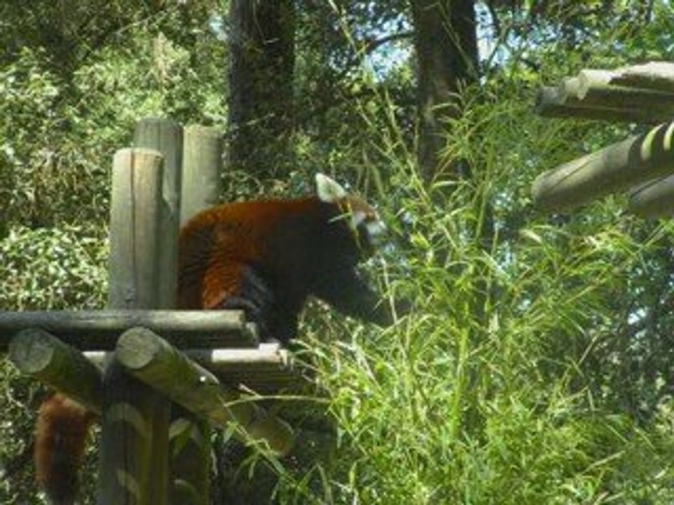 notre journée au zoo !!!