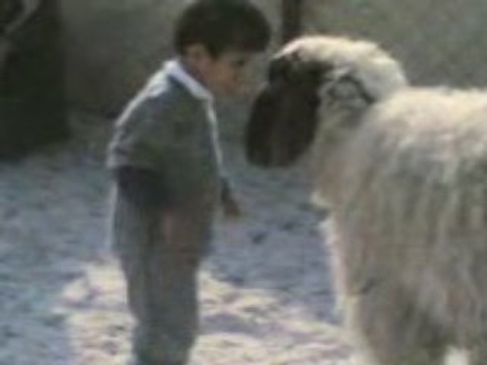 !! MOuTANT vS  -_- coup !!