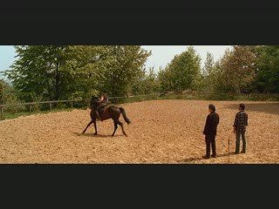 le cheval!