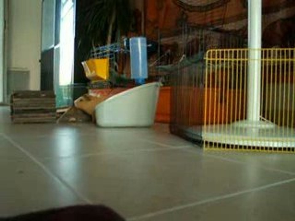 09-08-19-08H26-30_Cobayes_VID_6161