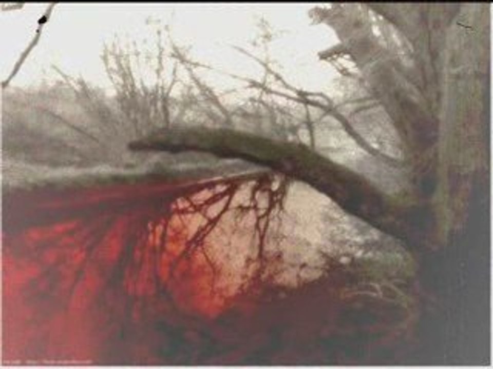 Xasthur-1-