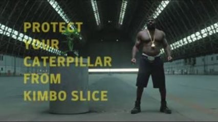 Kimbo Slice vs Caterpillar: Viruses - Mixed Martial Arts