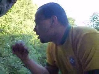 Regis à la montagne