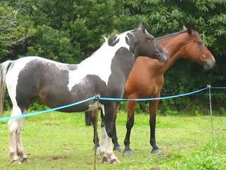 Aout 2009 - 1ère partie