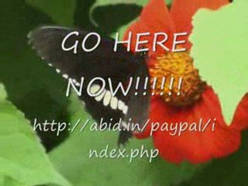 Make A Fortune With Adsense