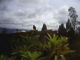 Avistamiento de Aves (Valle del Cauca - Colombia)