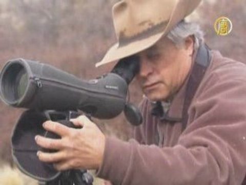 Фильм «Путь кондора» снимают в Аргентине