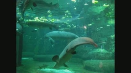 Vacance USA Partie II