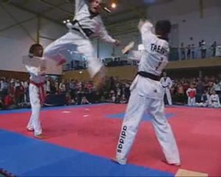 Taekwondo Arcueil Cosma 2009
