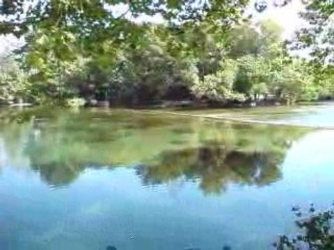 Partage des eaux - Isle-sur-Sorgues 1