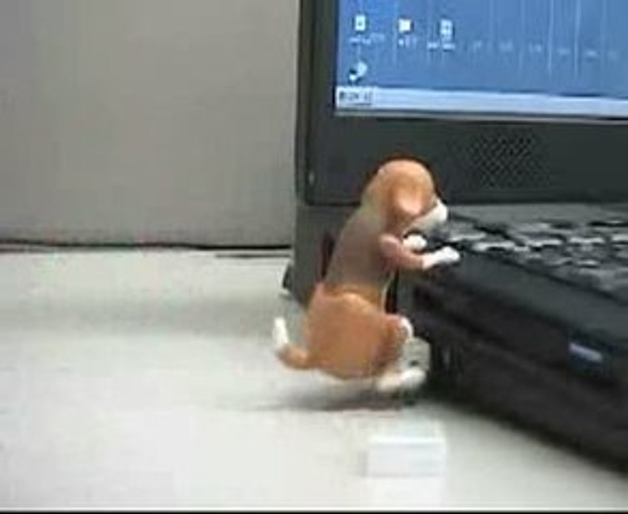 Humping Dog USB