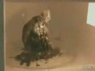 Cep Telefonu Mikrodalgaya Konursa