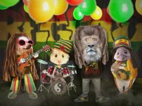 Carte Anniversaire Rasta Video Dailymotion