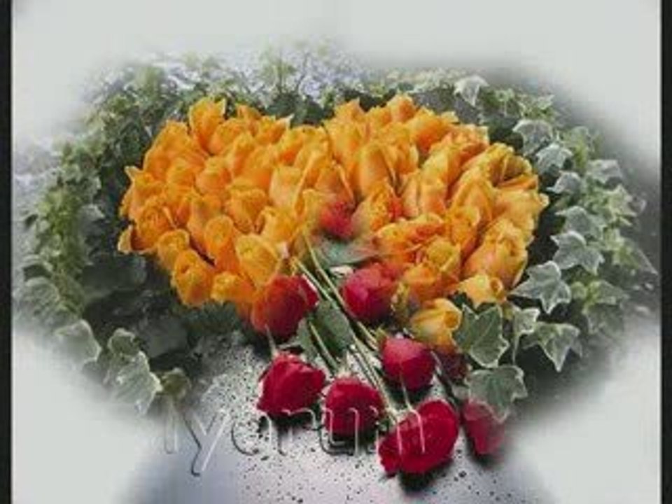 Bu sabah