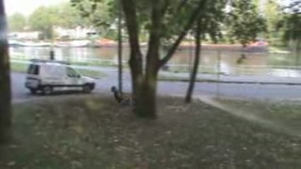 Salto avant plongé + roulade