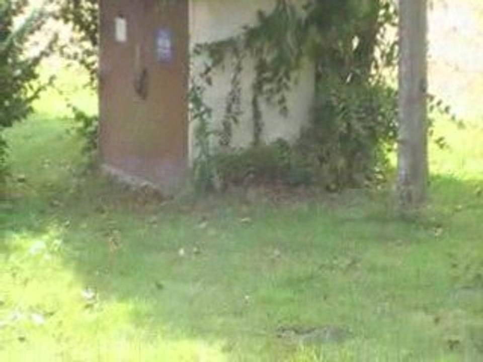 MOV020