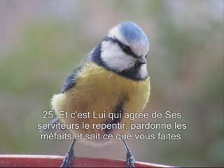 Sourate 42. La consultation Achoura sous titrée en français