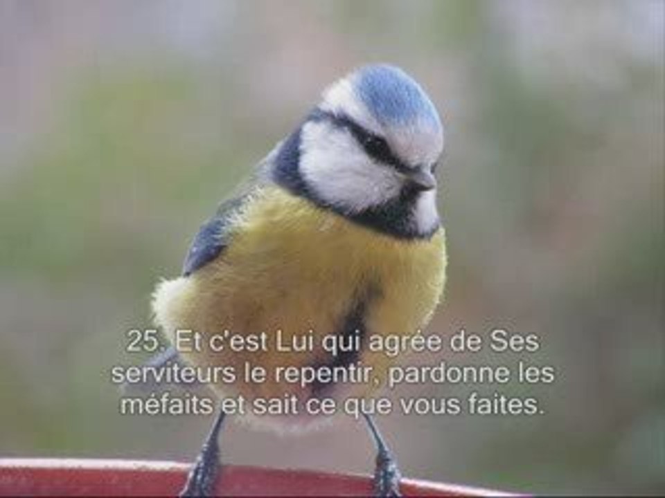 Sourate 42. La consultation Achoura sous titrée en français