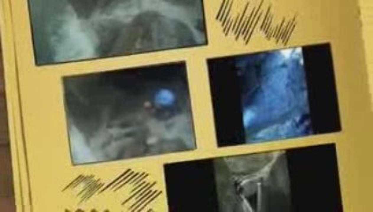 Canyon du Furon | Vertical Aventure