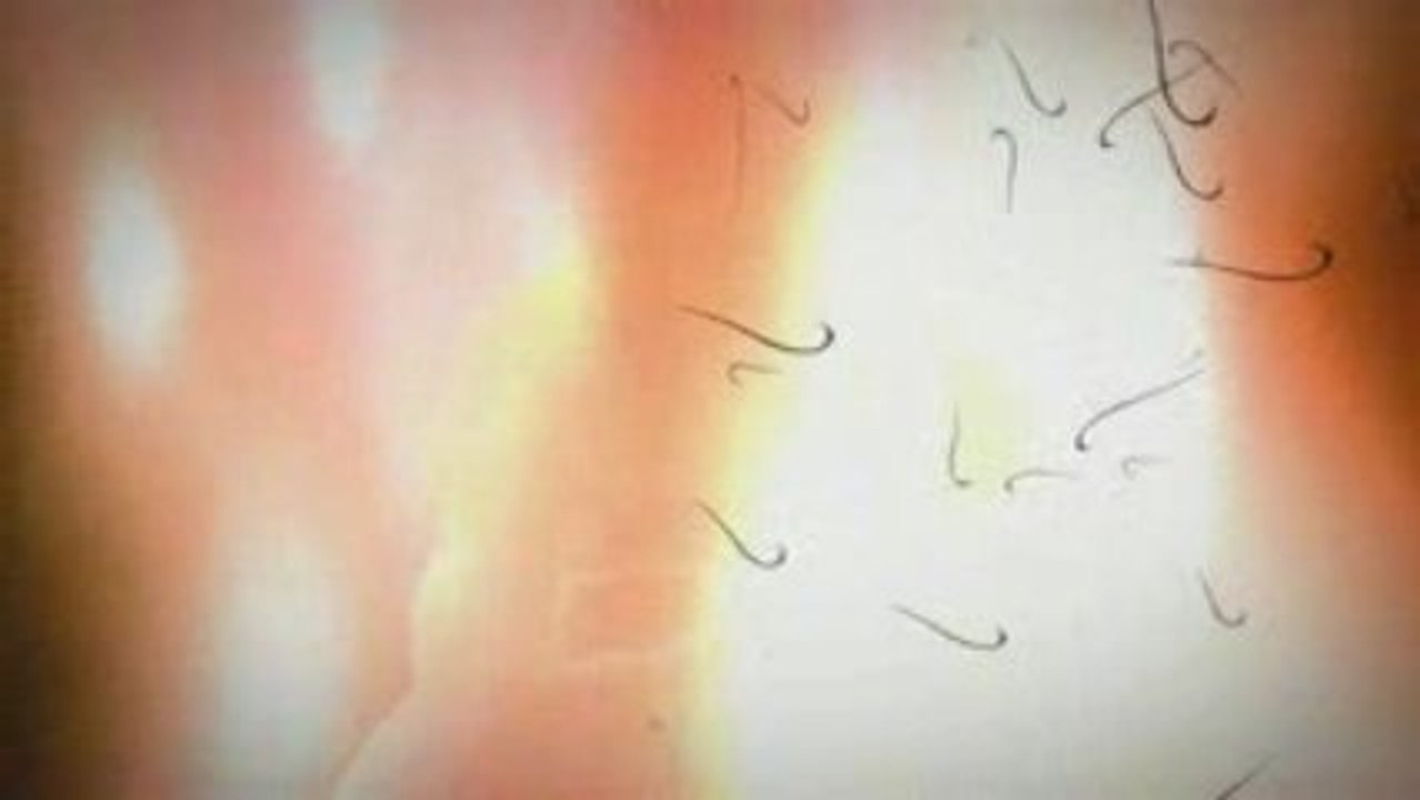 World of Warcraft - Cataclysm - NewTrailer - FR