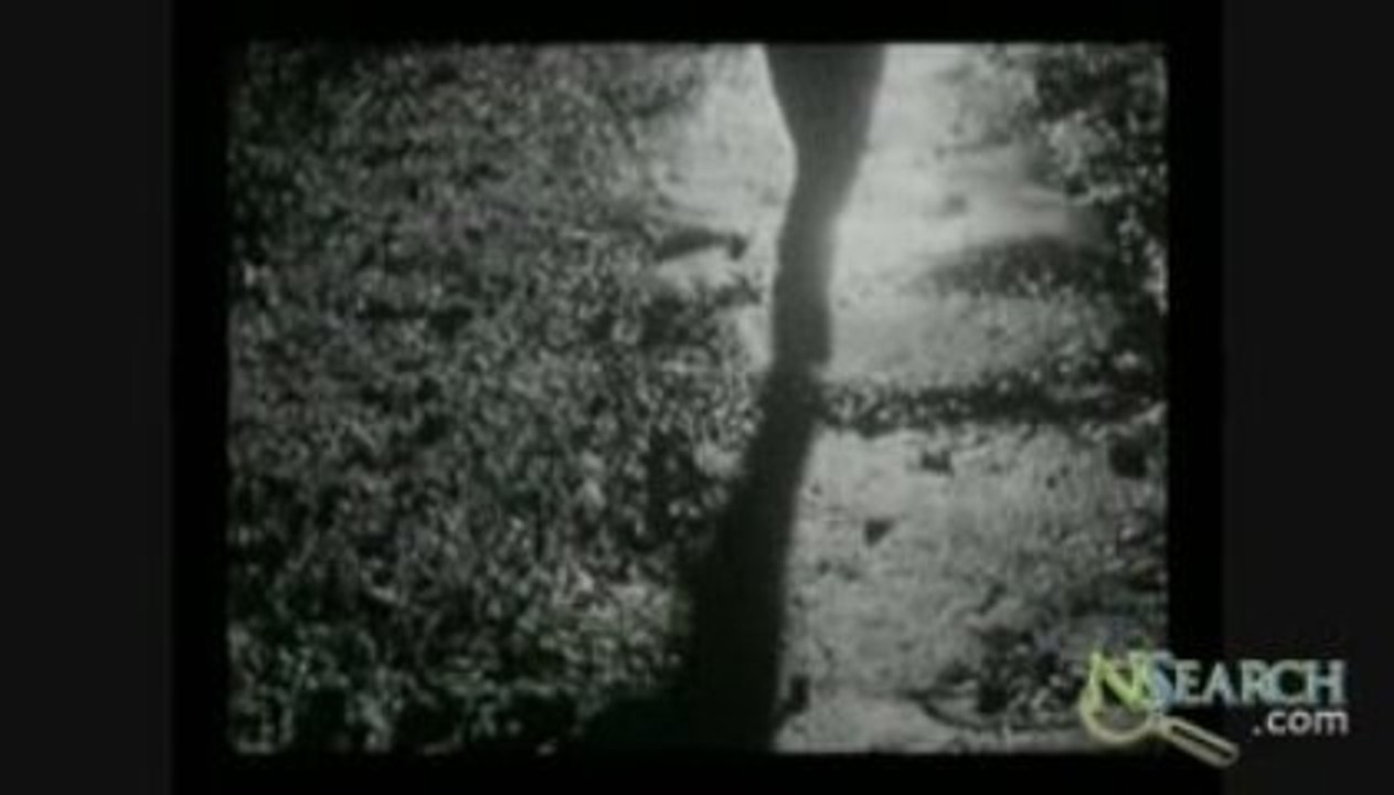 Goodyear - Hienz