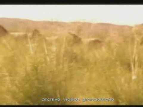 1x4 grottes ornées en Oural