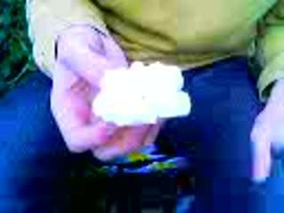 Trip bombons