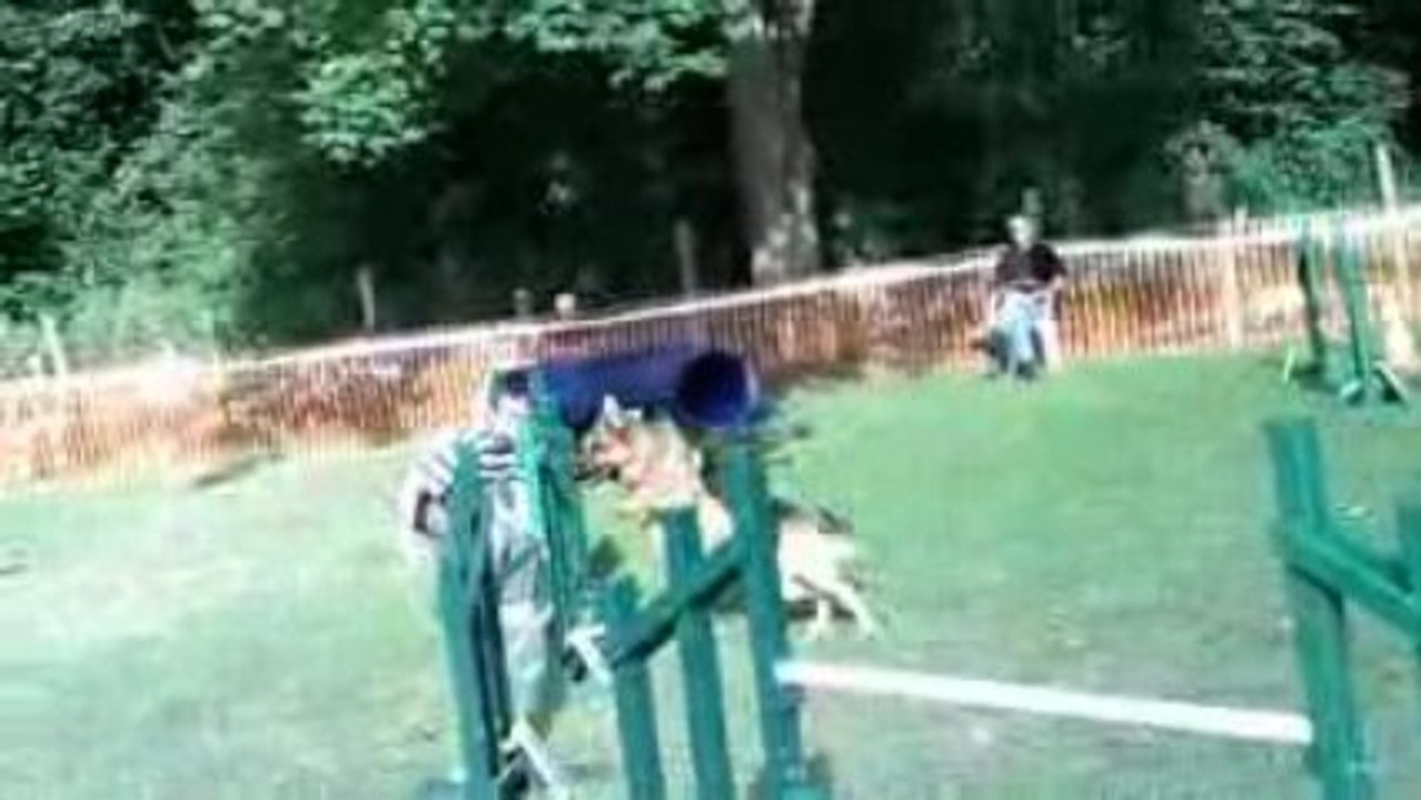 César, concours agility Etaples/Mer 14/07/09, GPF, Eliminé.