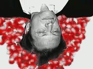 MOSHPIT Clip "FOR NOW" By Butagaz