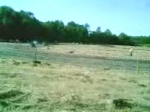 course de 2cv cross !!!