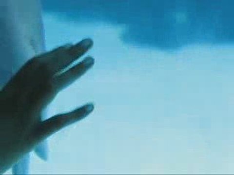 Dolphin play bubble rings Save the dolphins! Causes