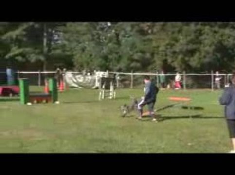 Blueberry GPF Agility St Genix sur Guiers 06/09/2009